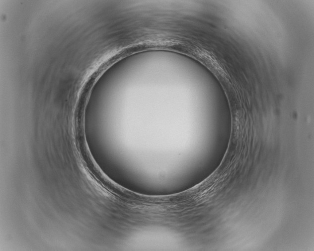 X0000089440726200706151010