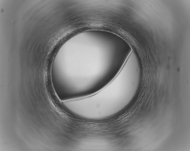 X0000089440728200706151010