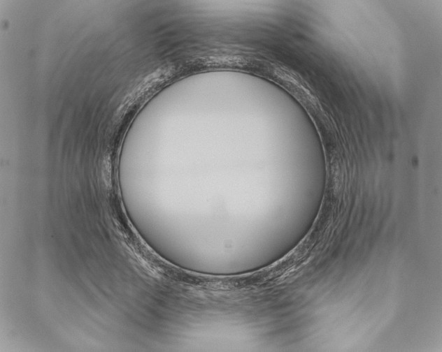 X0000089440729200706151010