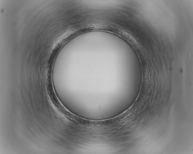 X0000089440730200706151010