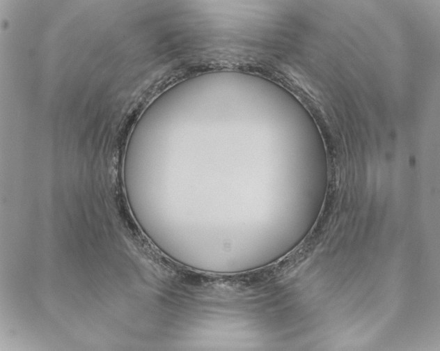 X0000089440737200706151011