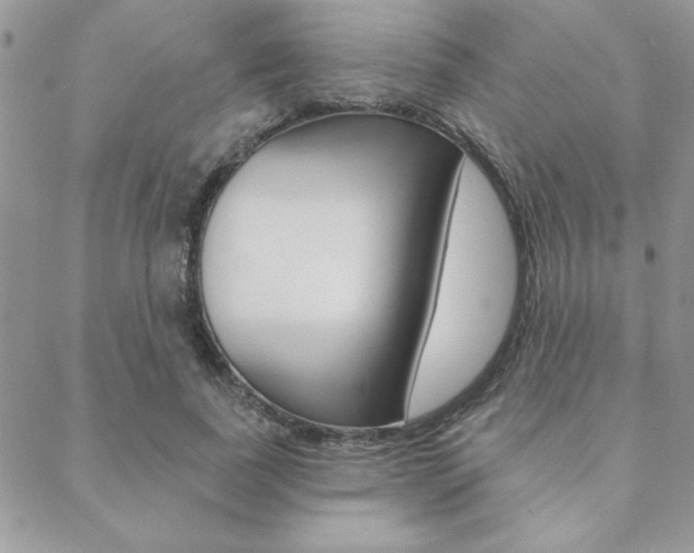 X0000089440739200706151011