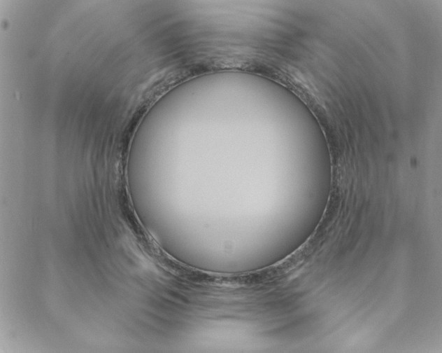 X0000089440741200706151011