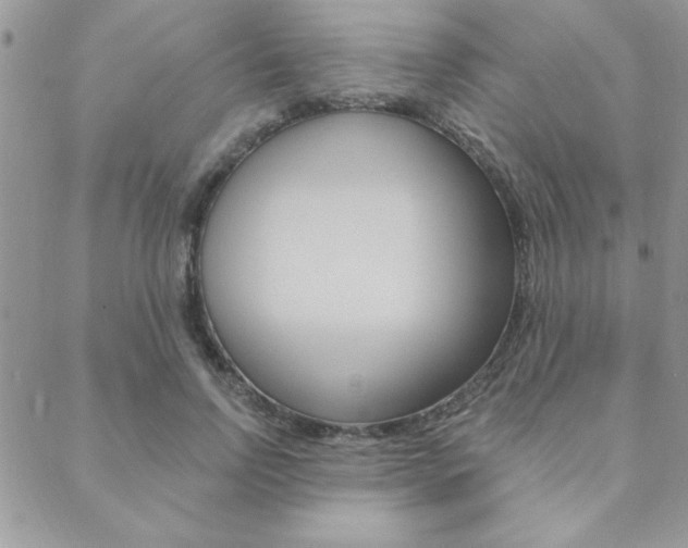 X0000089440742200706151011