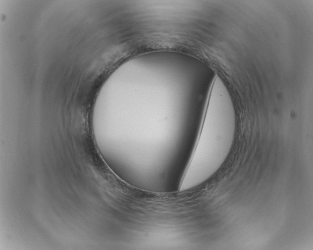 X0000089440743200706151011
