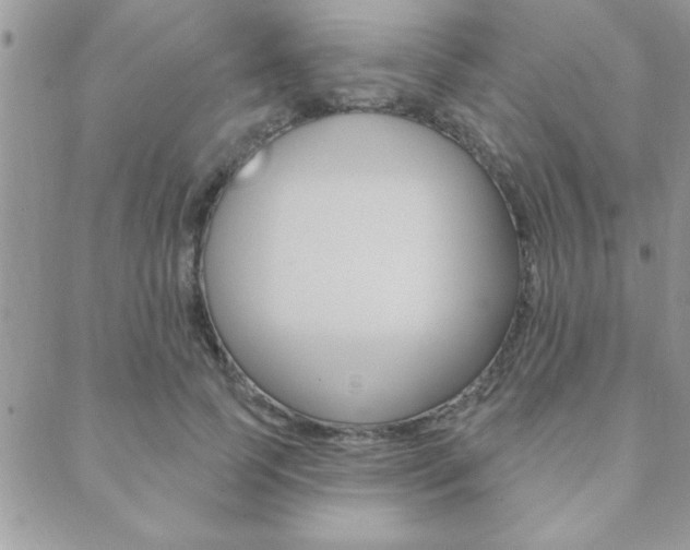 X0000089440745200706151011