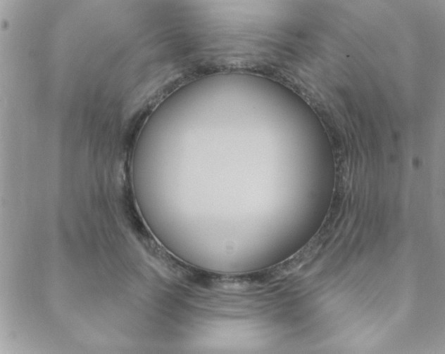X0000089440746200706151011