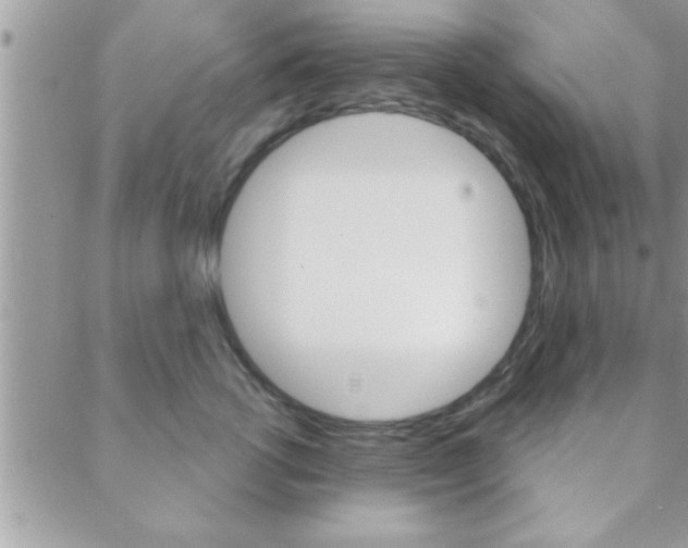 X0000089440762200706151011