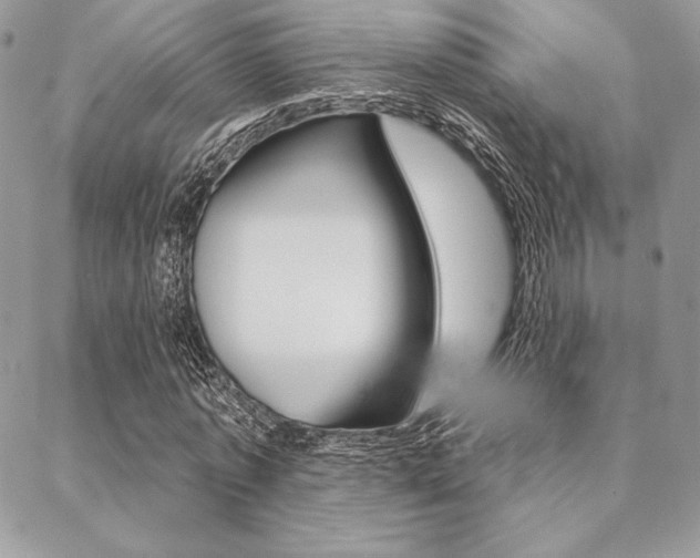 X0000089440773200706151010