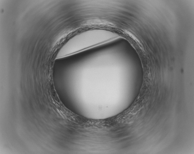 X0000089440775200706151010