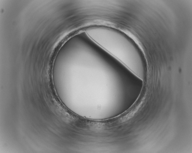 X0000089440783200706151010