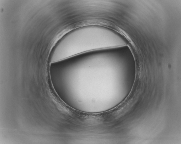 X0000089440786200706151010
