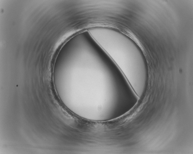 X0000089440787200706151010