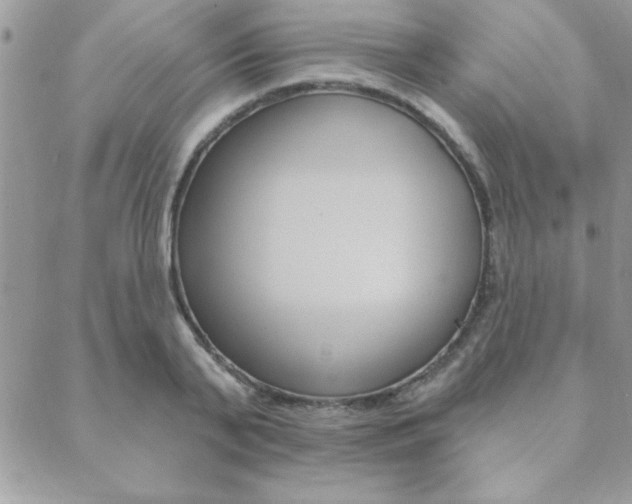 X0000089440791200706151010