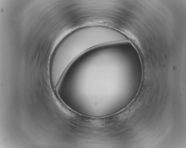 X0000089440792200706151010
