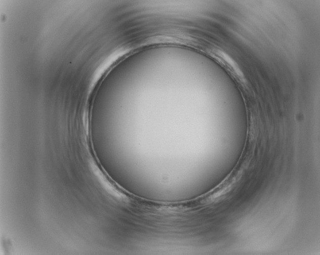 X0000089440796200706151010