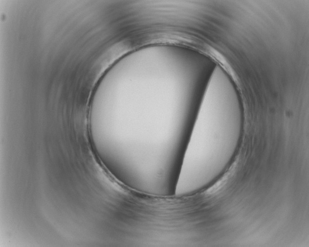 X0000089440802200706151010