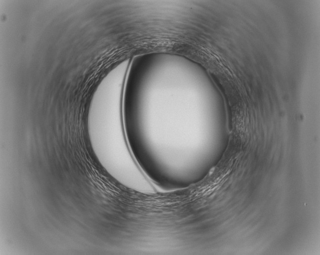 X0000089440818200706151009