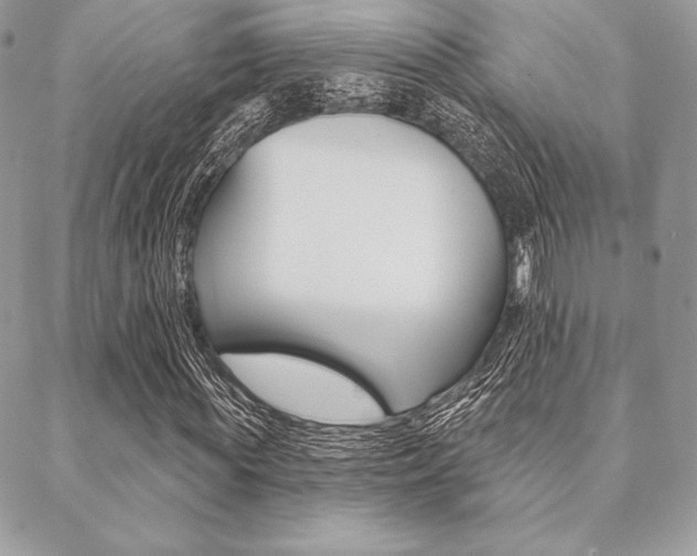 X0000089440819200706151009