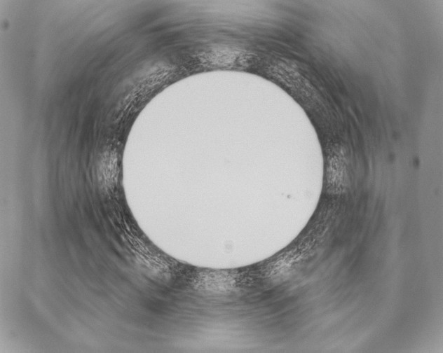 X0000089440820200706151009