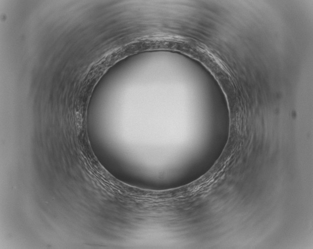 X0000089440821200706151009