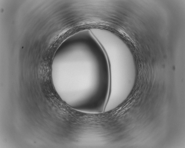 X0000089440822200706151009