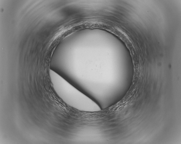 X0000089440823200706151009