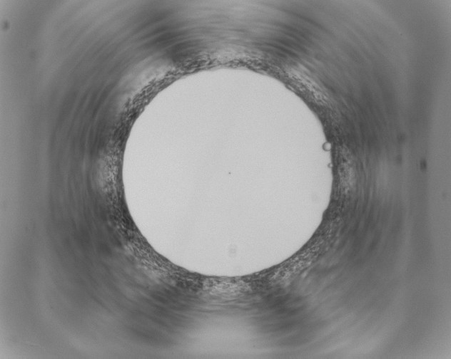 X0000089440824200706151009