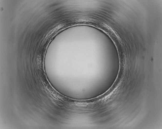 X0000089440825200706151009