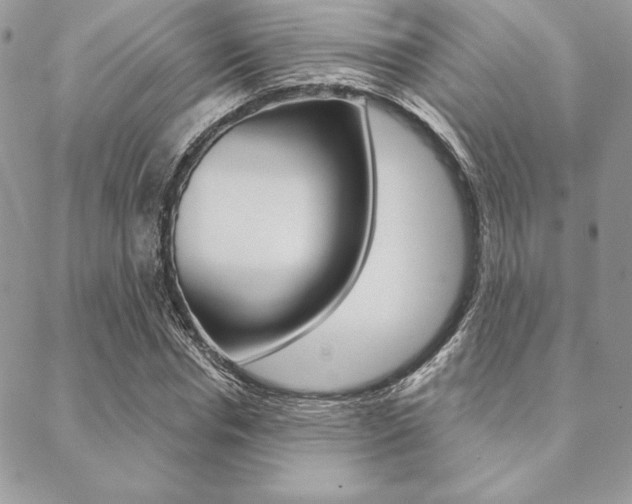 X0000089440826200706151009