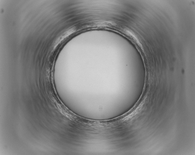 X0000089440827200706151009