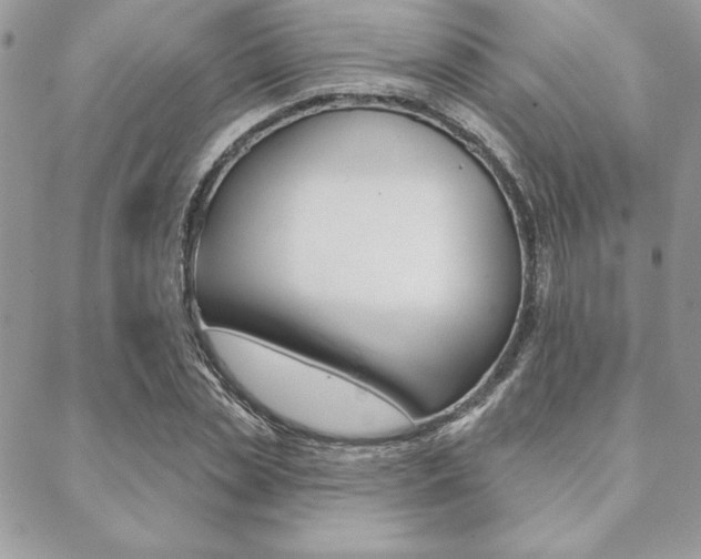 X0000089440829200706151009