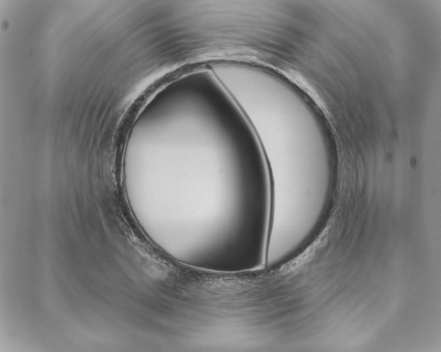 X0000089440830200706151009