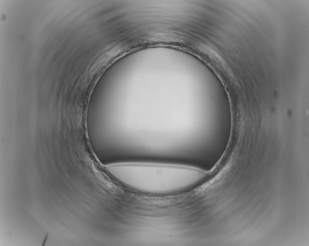 X0000089440833200706151009