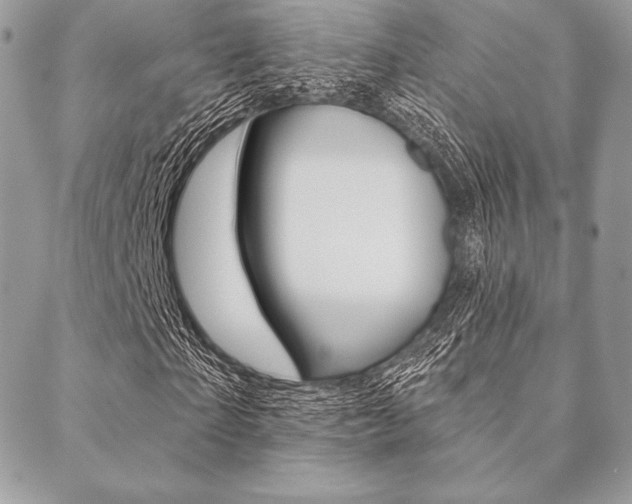X0000089440865200706151009