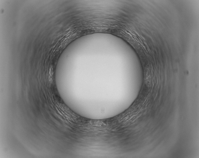 X0000089440866200706151009