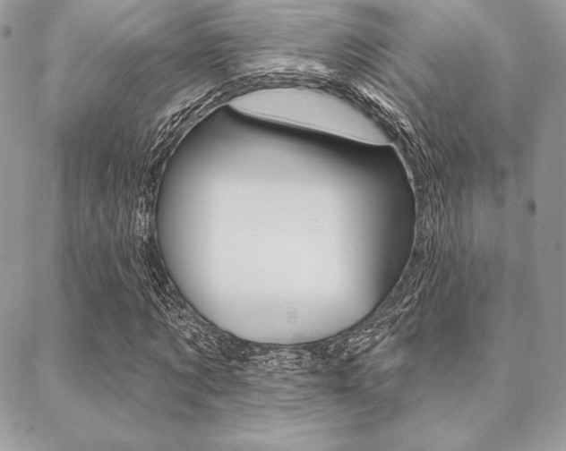 X0000089440869200706151009