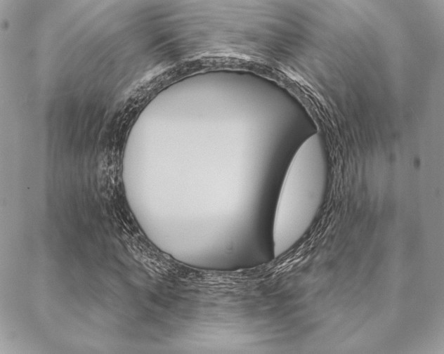 X0000089440870200706151009