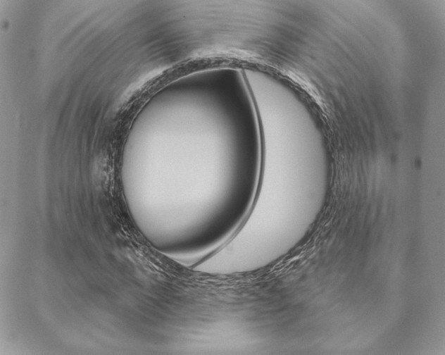 X0000089440872200706151009