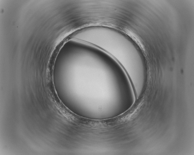 X0000089440876200706151009