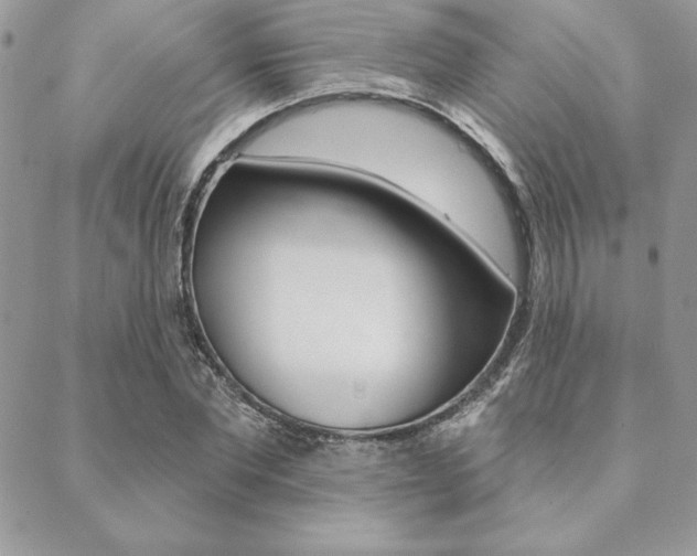 X0000089440877200706151009