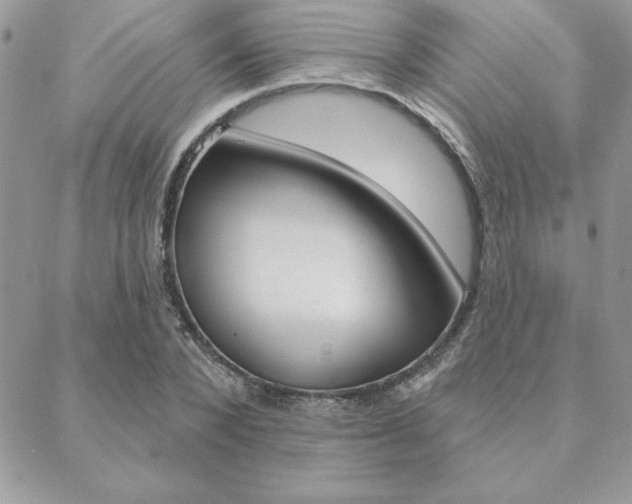 X0000089440880200706151008