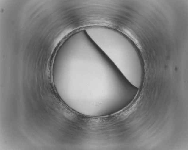 X0000089440883200706151008
