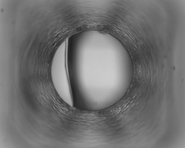 X0000089440914200706151007
