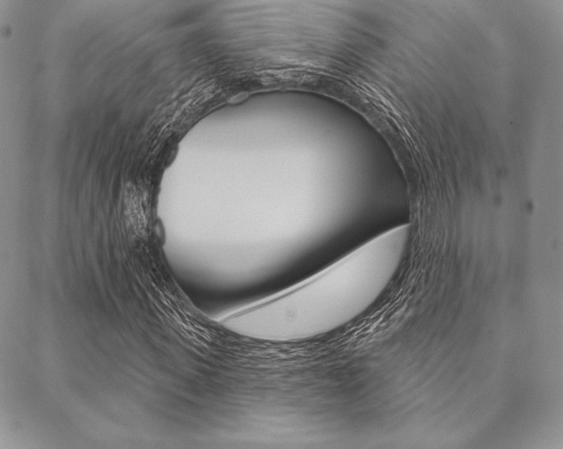 X0000089440915200706151007