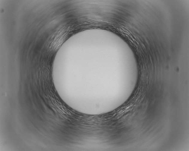 X0000089440916200706151007