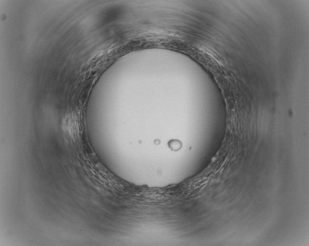 X0000089440917200706151007