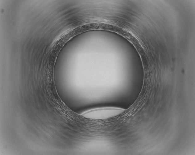 X0000089440919200706151007