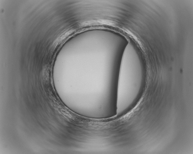 X0000089440921200706151007