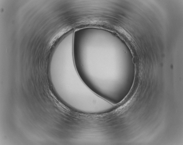 X0000089440922200706151007